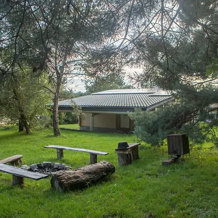 Saunowisko W Kragu *