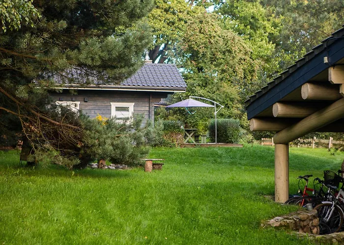 Saunowisko W Kragu *